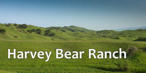 Harvey Bear Ranch Ride