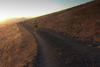 Mountain Biking the Golden State
